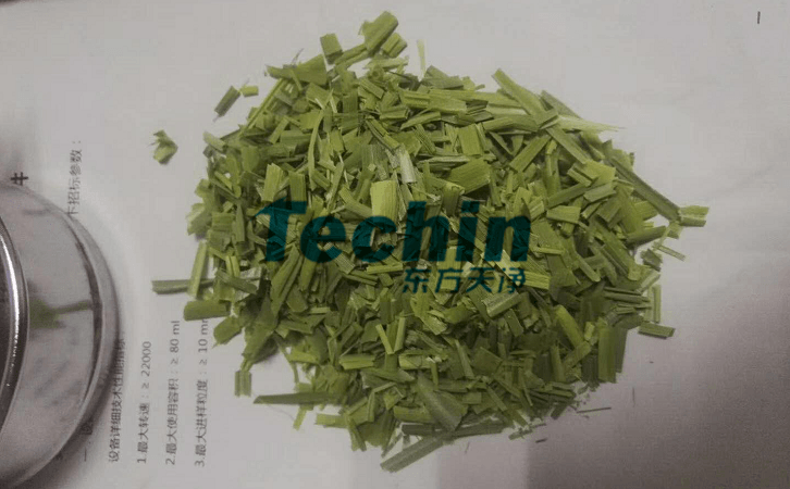 水稻叶子蜜桃视频网站前
