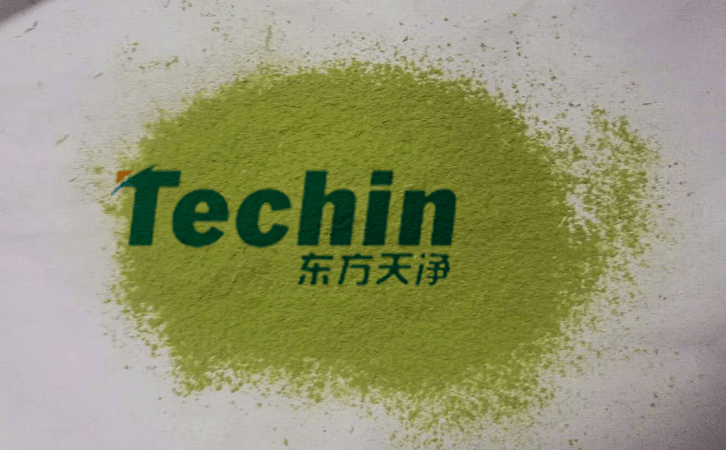 蜜桃视频网站后的植物叶片