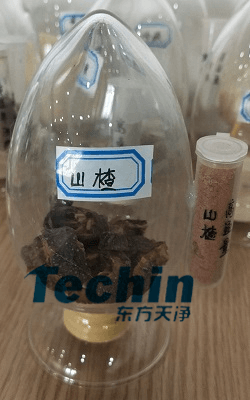 山楂蜜桃视频网站前后