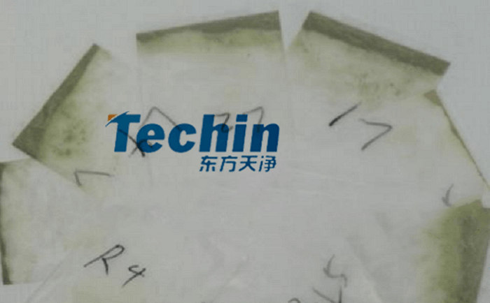干黄豆根茎蜜桃视频网站后