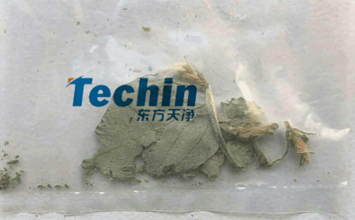 干黄豆叶蜜桃视频网站前