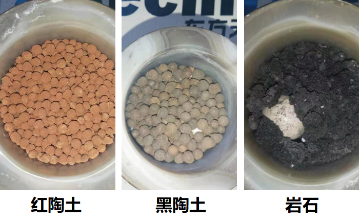 岩石和陶土蜜桃视频网站前