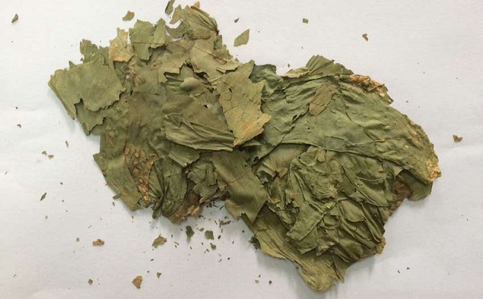 棉花叶蜜桃视频网站